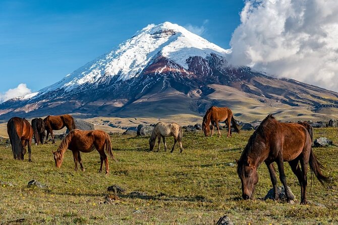 Viajes al cotopaxi