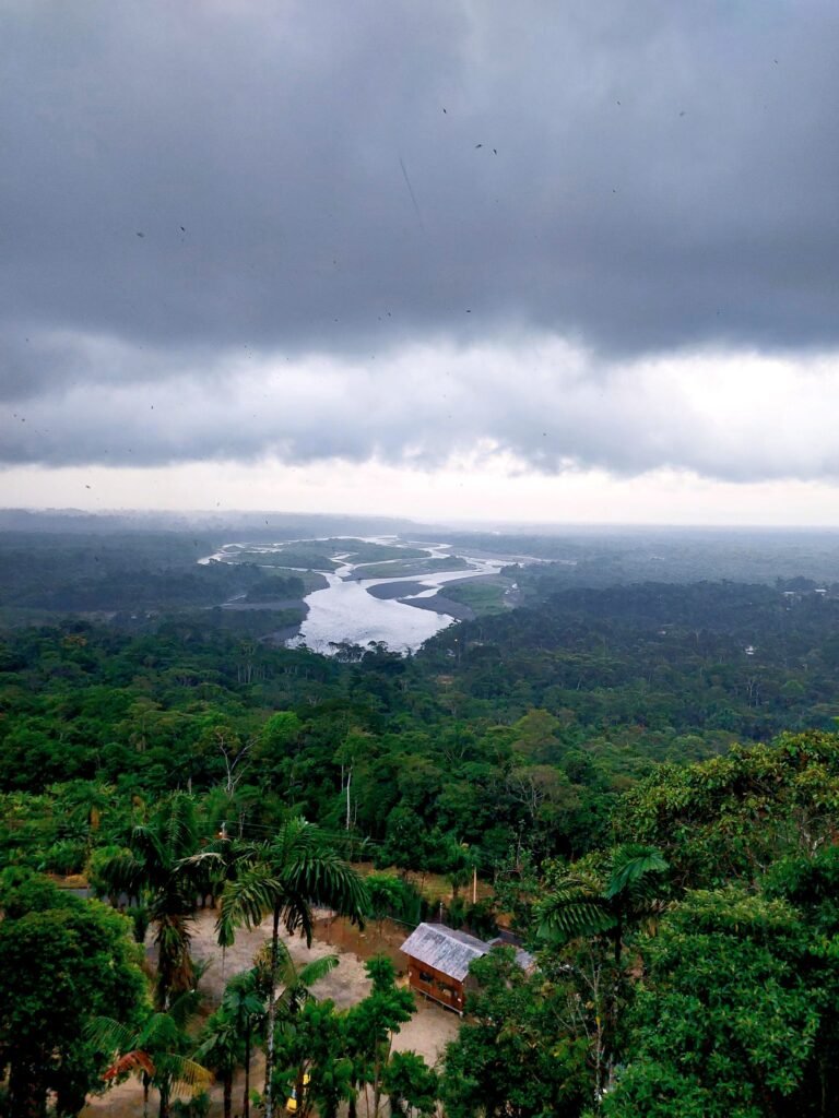 Tours y viajes a la amazonia