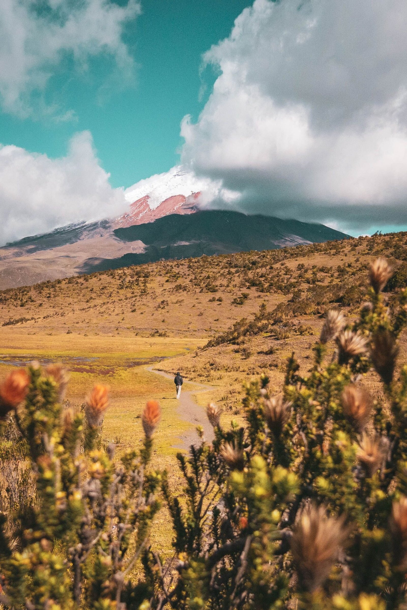 Tours en Ecuador, viajes en la sierra ecuatoriana