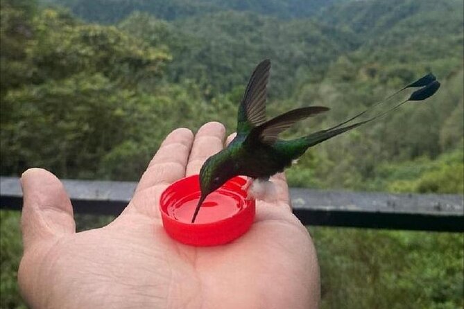 transporte para viajar a Mindo