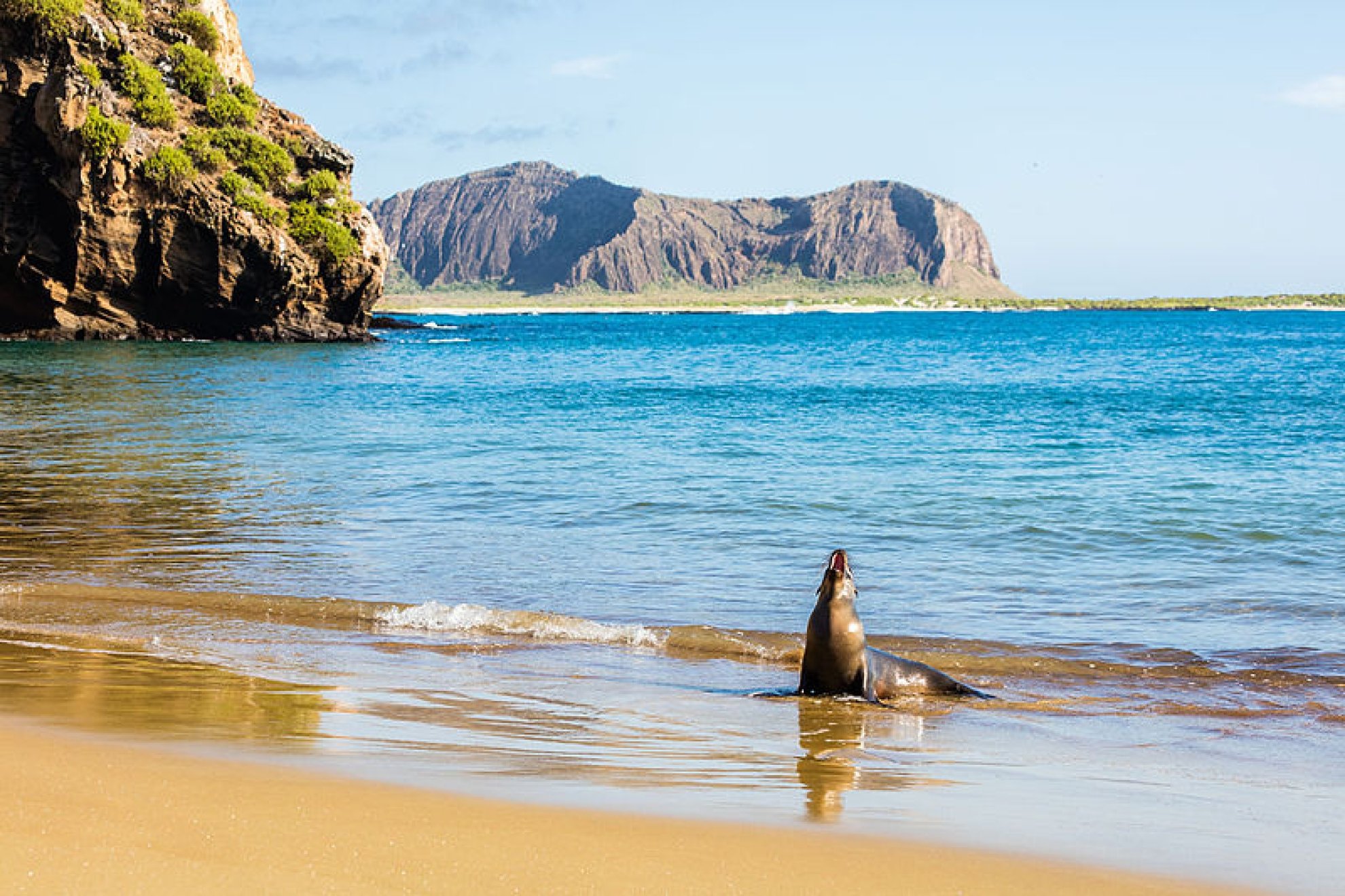 translado al aeropuerto para ir a Galápagos 